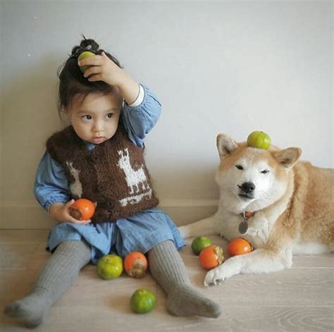 小朋友適合養什麼寵物|5到10歲的小朋友養什麼樣的寵物比較好？